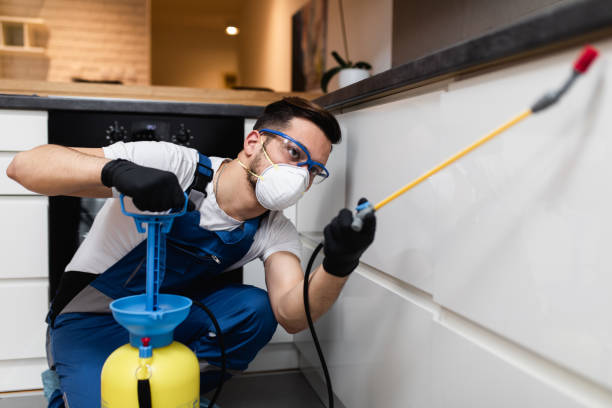 Best Wildlife Control Services  in Fairview, OR