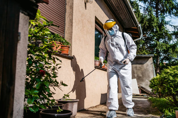 Best Affordable Pest Control Services  in Fairview, OR