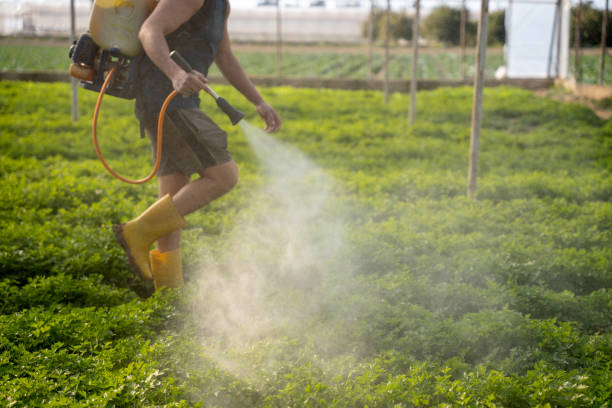 Best Best Pest Control Companies  in Fairview, OR