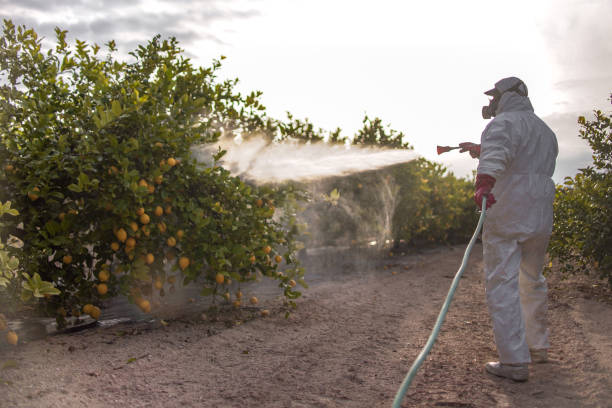 Best Pest Removal Services  in Fairview, OR