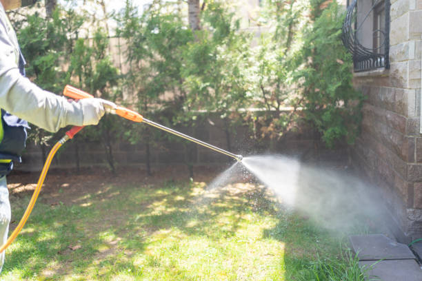 Best Wasp Removal Services  in Fairview, OR