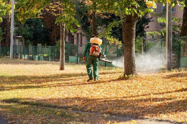 Best Flea Control Services  in Fairview, OR