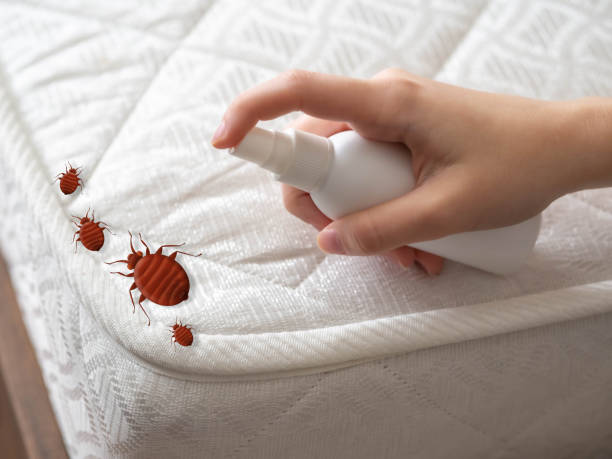 Best Exterminator Services  in Fairview, OR