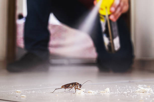 Best Pest Control Cost  in Fairview, OR
