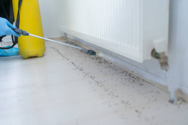 Best Mosquito Control Services  in Fairview, OR