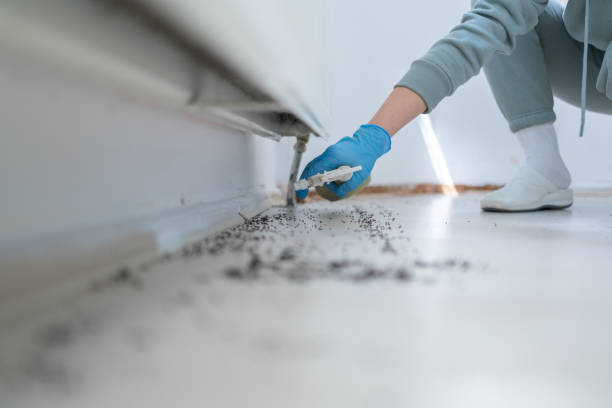 Best Commercial Pest Control Services  in Fairview, OR