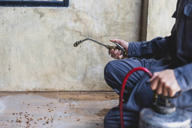 Best Pest Control for Businesses  in Fairview, OR