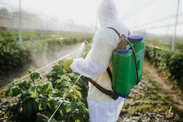 Best Affordable Pest Control Services  in Fairview, OR